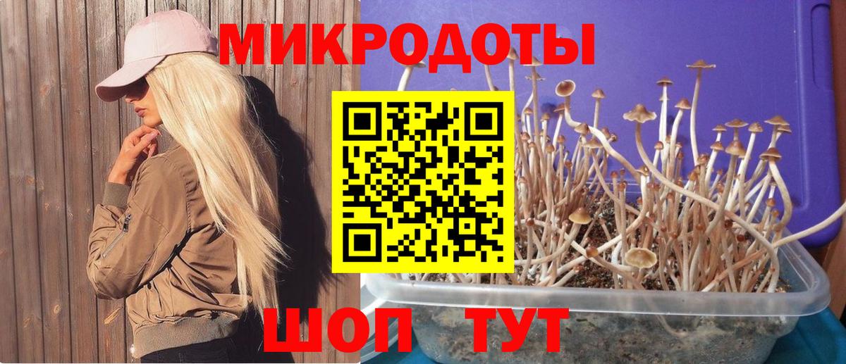 Псилоцибиновые грибы прущие грибы Видное