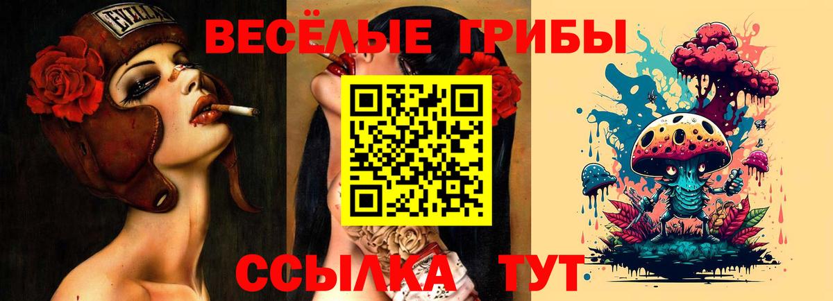 Псилоцибиновые грибы MAGIC MUSHROOMS  Вход с VPN  Видное  купить  сайты  Псилоцибиновые грибы Magic Shrooms 